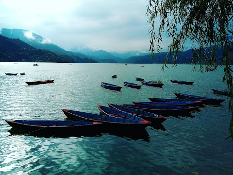 boats in Pokhara