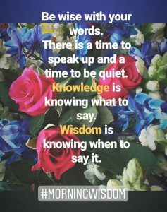 knowledge is knowing what to say, wisdom is knowing when to say it